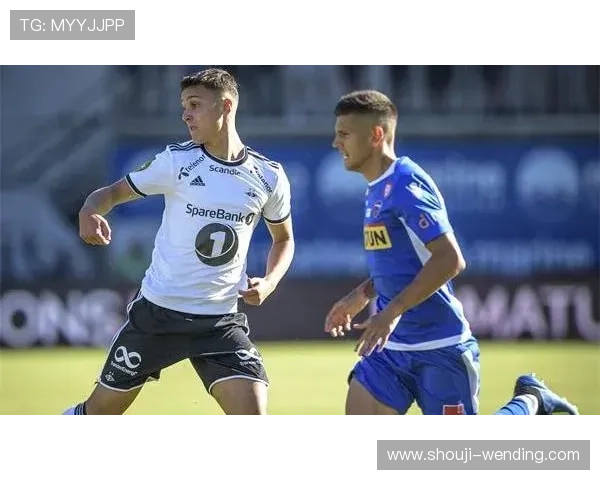 亚博体育真人版会员注册常见问题及解决方案全方位解析