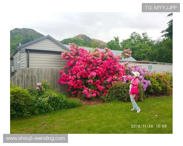 亚博体育旗舰网站多平台兼容，随时随地畅享体育赛事精彩瞬间