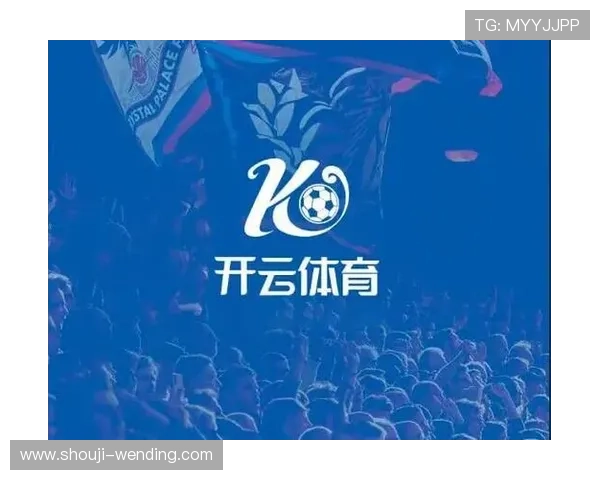 开云体育电脑版与手机版的差异对比及选择建议