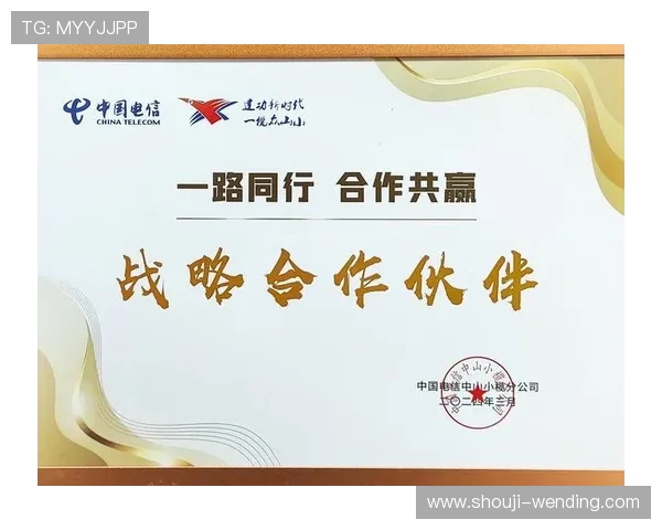 问鼎实业有限公司在国内外市场的扩展策略与合作伙伴关系分析